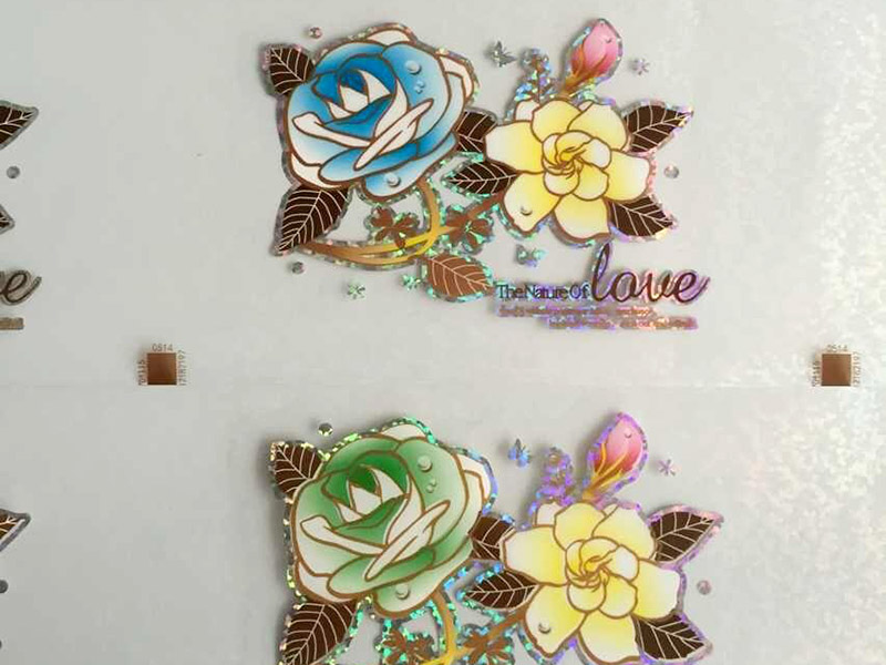 愛普生l850打印機能不能熱轉印？